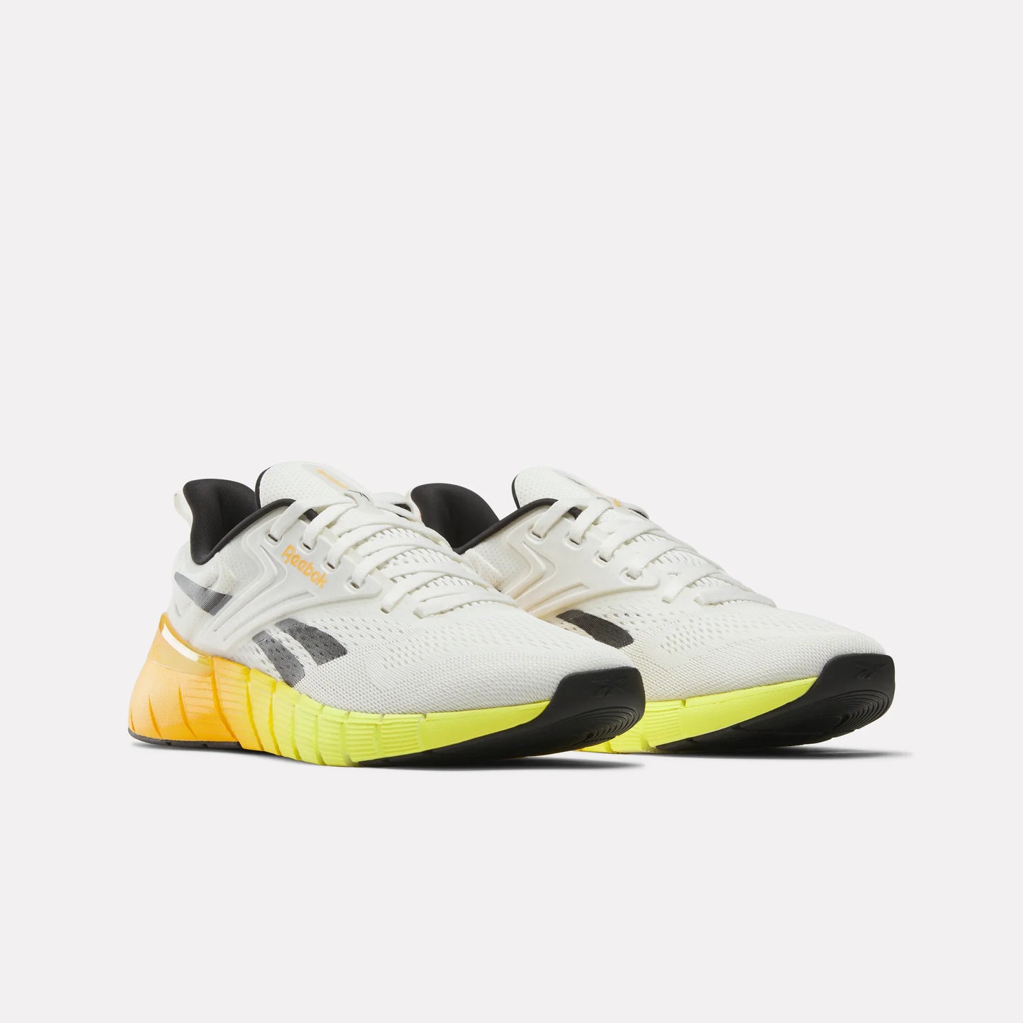Reebok Men Nano Gym | 100212650