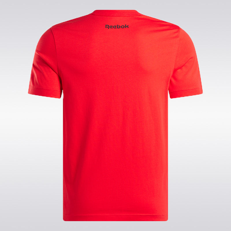 Reebok Men Basketball T-Shirt 100214160