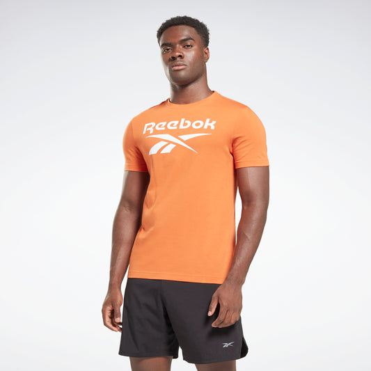Reebok Identity Big Logo Tee